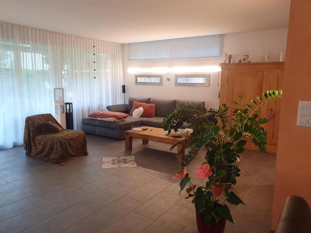 Casa Nadja, Naehe Skigebiet Flims-Lax Ems Kültér fotó